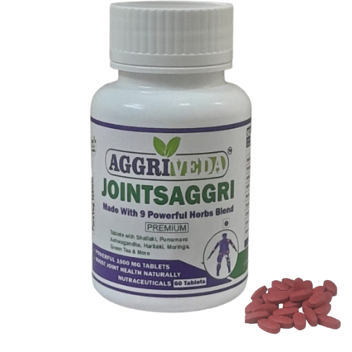 Arthritis Pain Relief Ayurvedic Tablets Made with Shallaki Extract, Punarnava Extract, Ashwagandha Extract, Harad Extract, Moringa Extract, Turmeric Extract, Ginger Extract, Green Tea Extract & Aloevera Extract | Powerful 9 Ingredients Blend for Arthritis Pain Relief | 60 Tablets