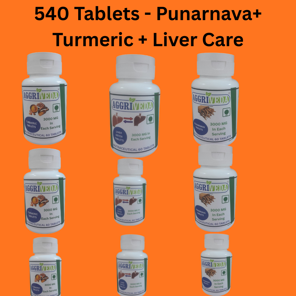 Liver Tablets 3000 Mg + Punarnava Tablets 3000 Mg + Turmeric Tablets 3000 Mg | Best Liver Health Enhancement Combo | 540 Tablets | Treat Fatty Liver Naturally